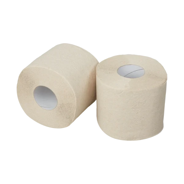 E-Tissue Traditioneel toiletpapier 10x4 rol - Afbeelding 2